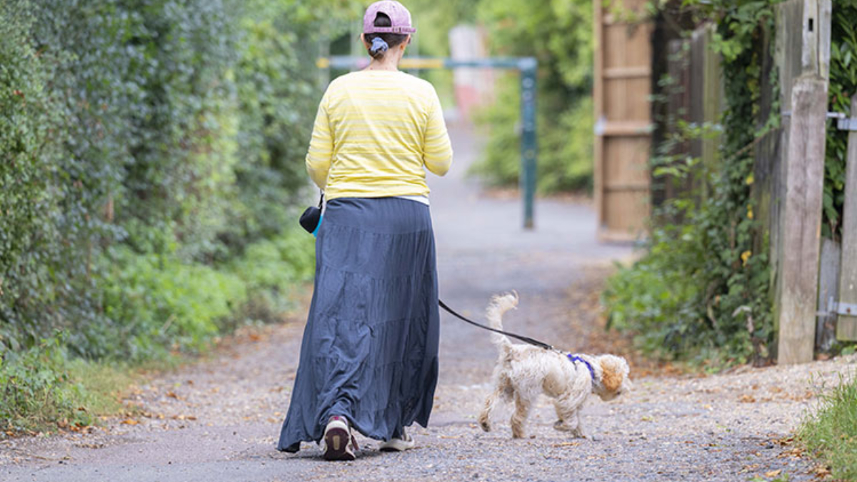 İngiltere'nin köpek sorununa çözümü: Sahiplenilmeyenler uyutuluyor