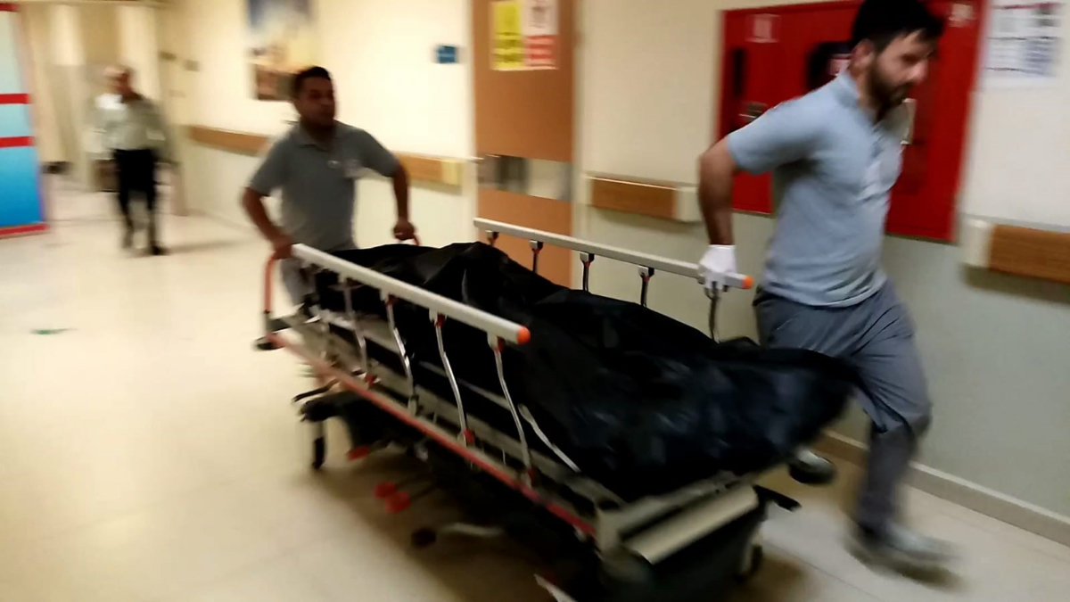 Bursa'da tarlada çalışırken arının soktuğu kadın hayatını kaybetti