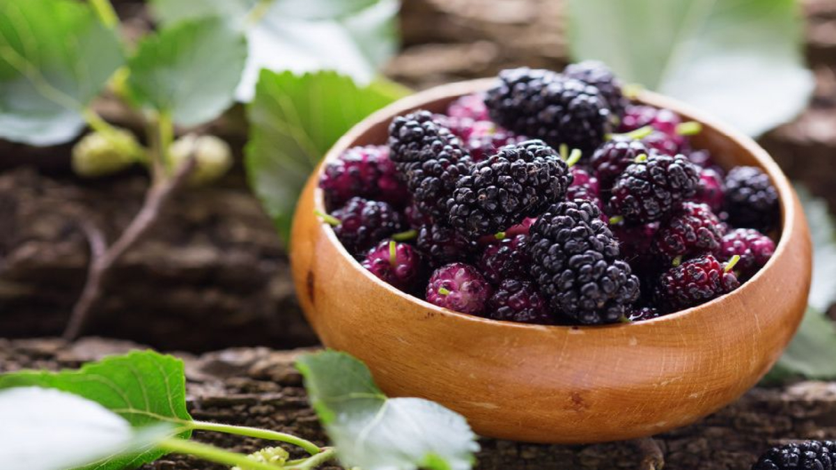 Doğanın zengin hazinesi! Dutun faydalarını duyan şaşırıyor