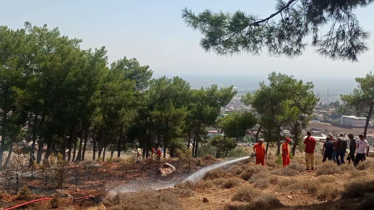Hatay'da orman yangını! Kontrol altına alındı...