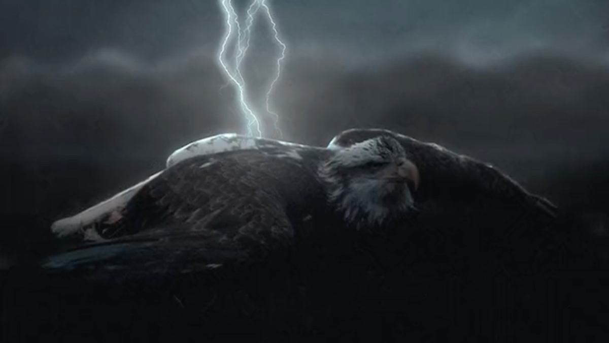 Trabzonspor'dan Beşiktaş'a Volkan Konak'lı gönderme