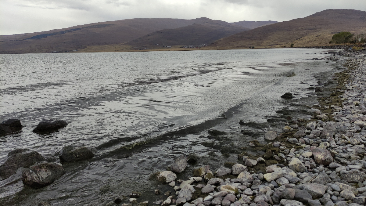 Alg patlaması yaşandı! Ardahan’da Çıldır Gölü yeşil renge büründü