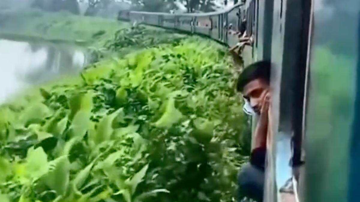 Hayatının şokunu yaşadı! Hindistan'da akıllara durgunluk veren hırsızlık!