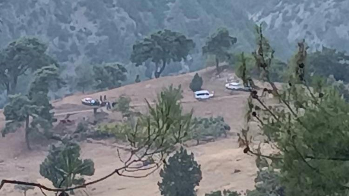 Mersin'de üzerine tomruk düşen orman işçisi öldü