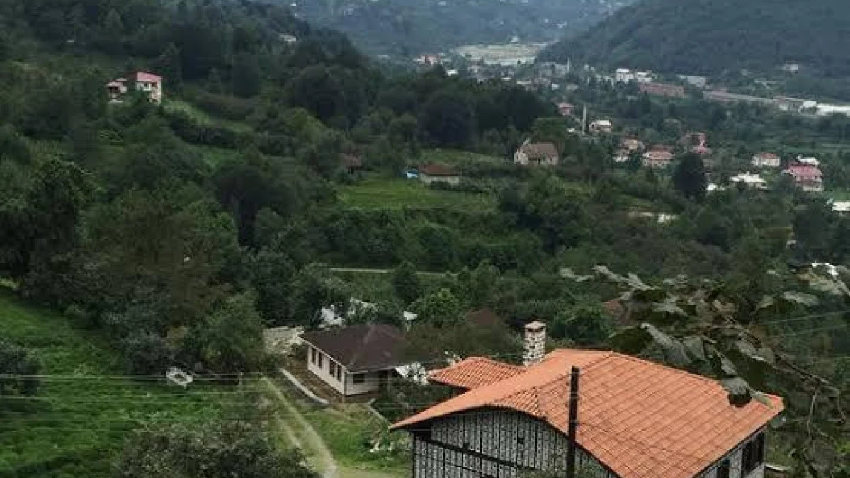 Artvin'de sahibini ısıran köpek kuduz çıktı! 3 köy karantinaya alındı