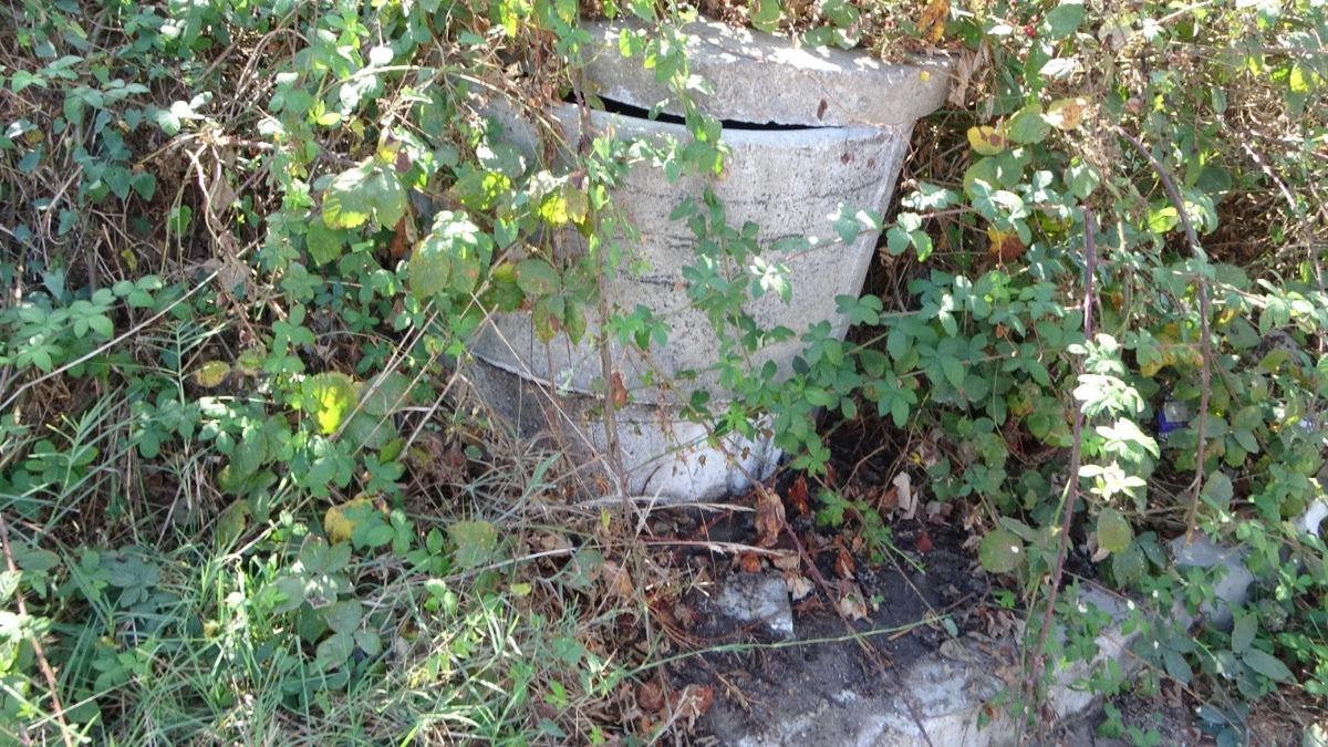 İstanbul'da sokağa dökülen maddeden yayılan koku paniğe neden oldu