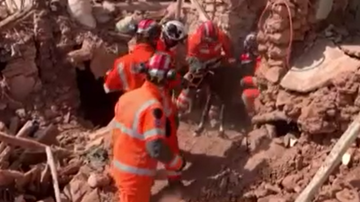 Fas'ta 10 gün sonra gelen mucize: Eşek enkaz altından sağ kurtarıldı