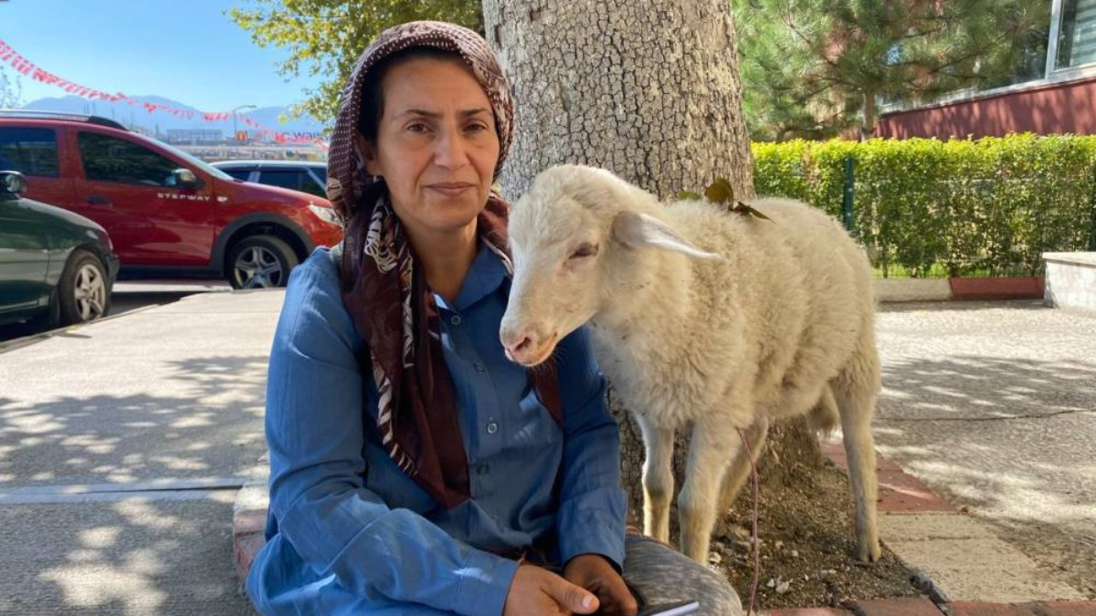 Karabük'te engelli çocuğu için aldığı kuzu bir an olsun peşini bırakmıyor