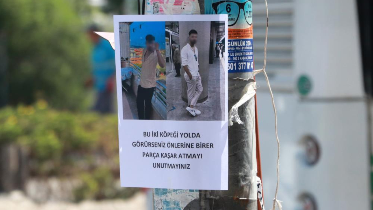 Adana'da bu ilanı gören bir daha bakıyor