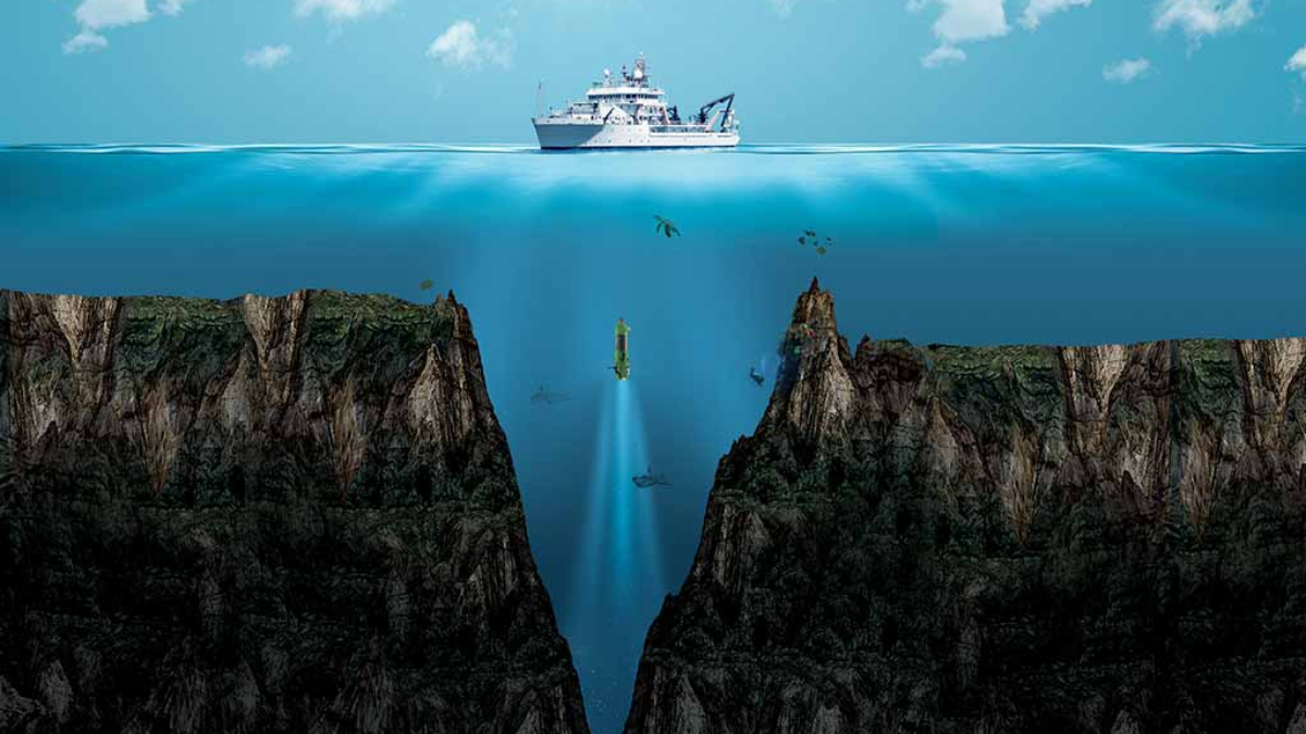 Çin'deki araştırmacılar, dünyanın en derin okyanus çukurunun dibinde gizlenen yeni bir virüs keşfetti