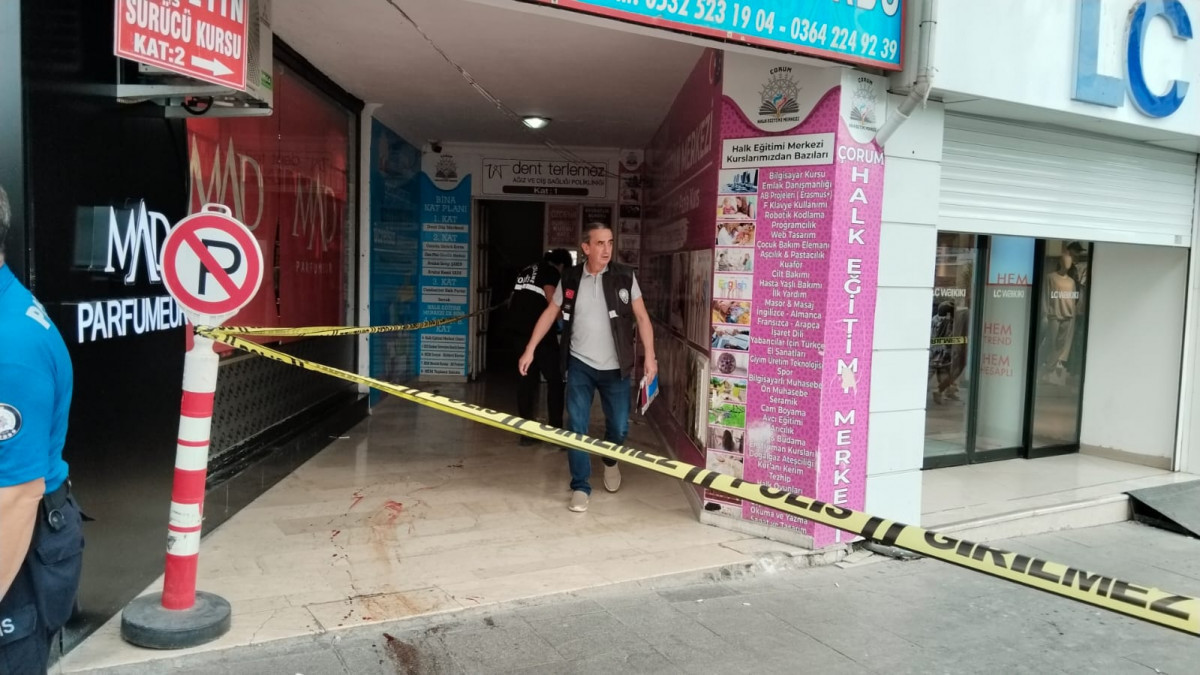 Çorum'da boşandığı eşini bıçakladı, parka gidip oturdu