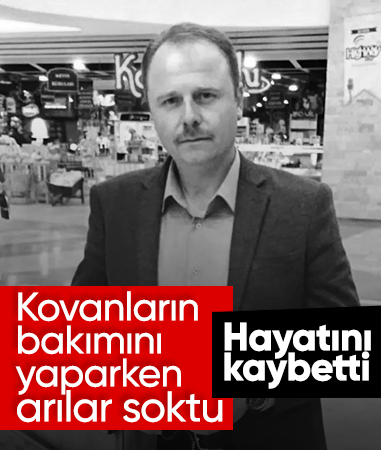 Bolu'da kovanların bakımını yaparken arıların soktuğu kişi öldü