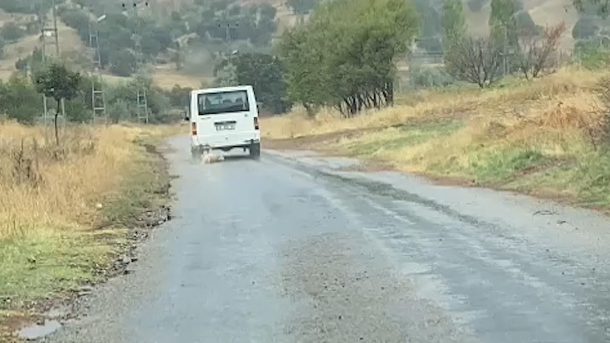 Kırıkkale'de cani sürücü aracının arkasına bağladığı köpeği sürükledi