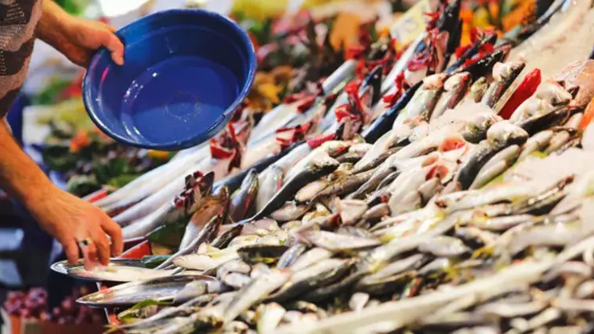 Balıkçılara koşun! Kışın D vitamini depolarını fullüyor! Bu balığı yiyenler hastane nedir bilmeyecek