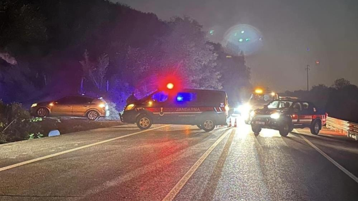 Düzce'de at sürüsüne çarpan otomobil zincirleme kazaya neden oldu