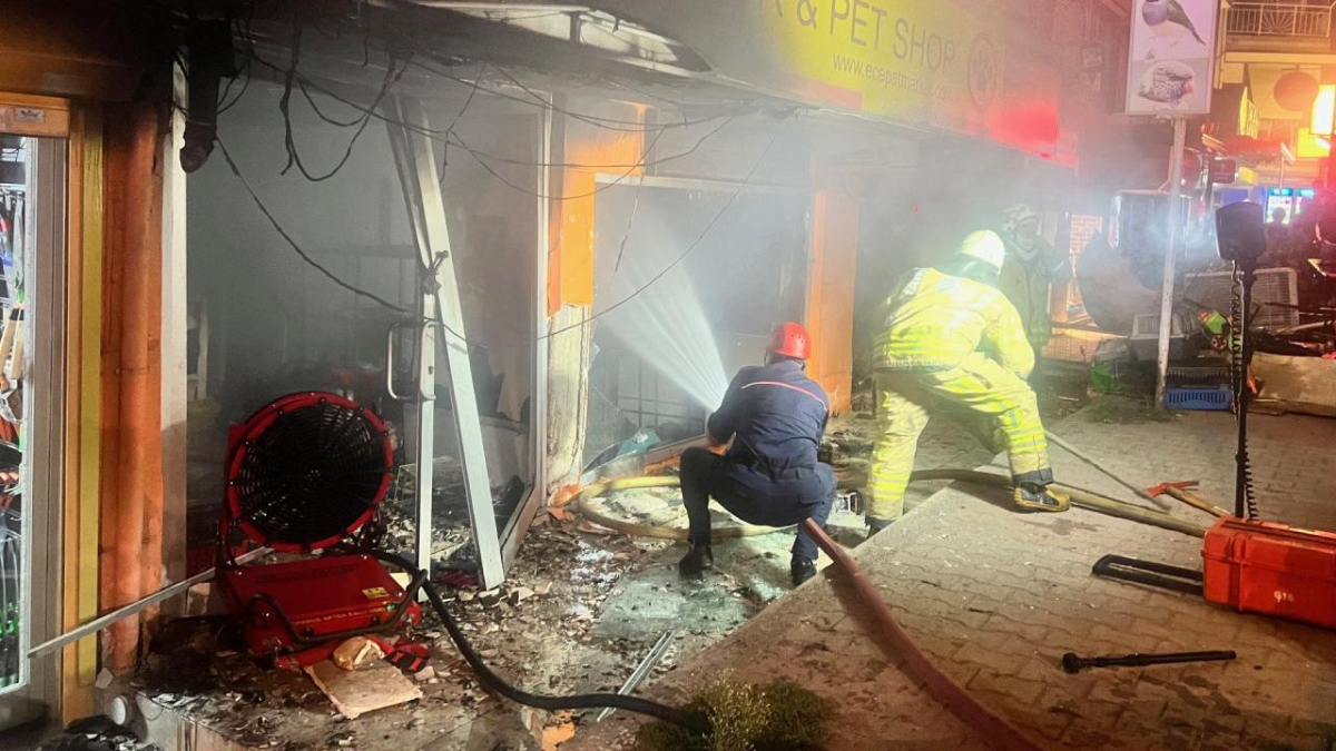 İstanbul Maltepe'de yangın: Çok sayıda hayvan telef oldu