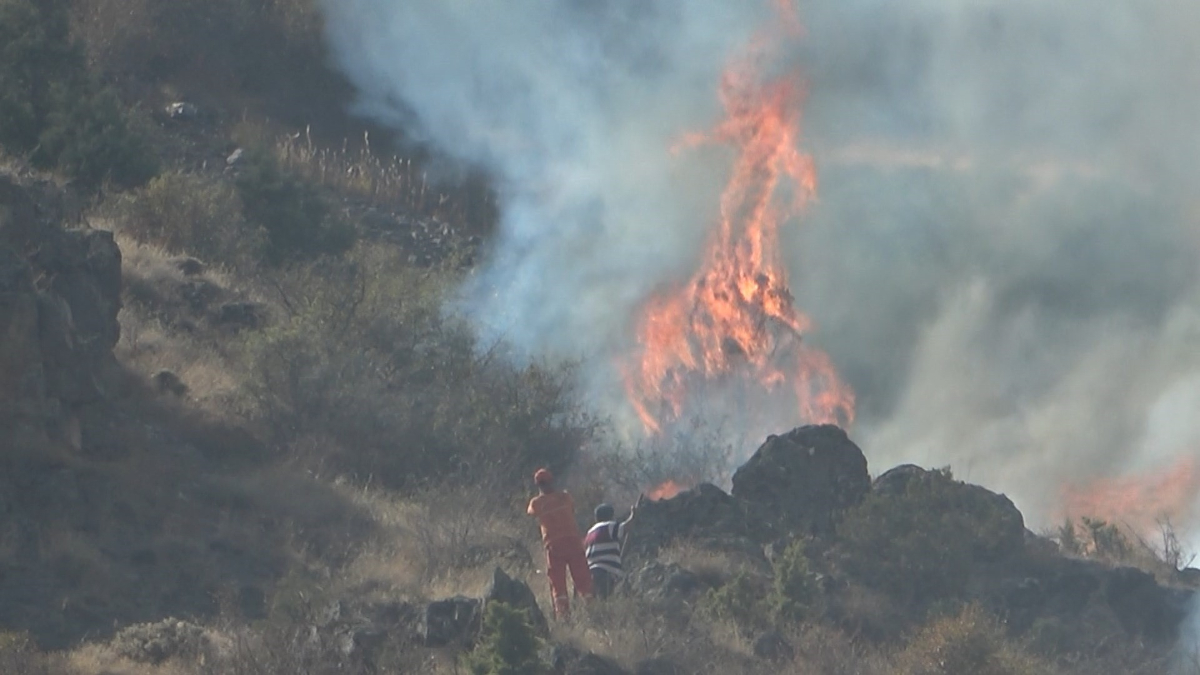 Gümüşhane'de otları temizlemek için ateş yaktı! 2 hektar küle döndü...