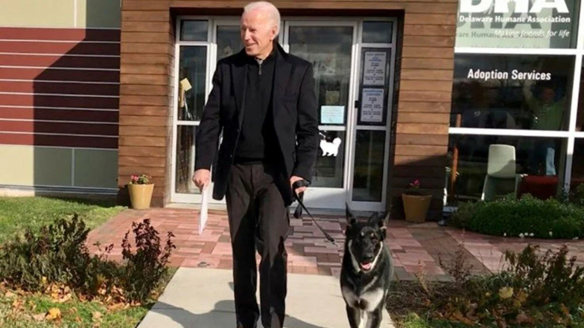 Joe Biden'in köpeği Beyaz Saray'dan uzaklaştırıldı