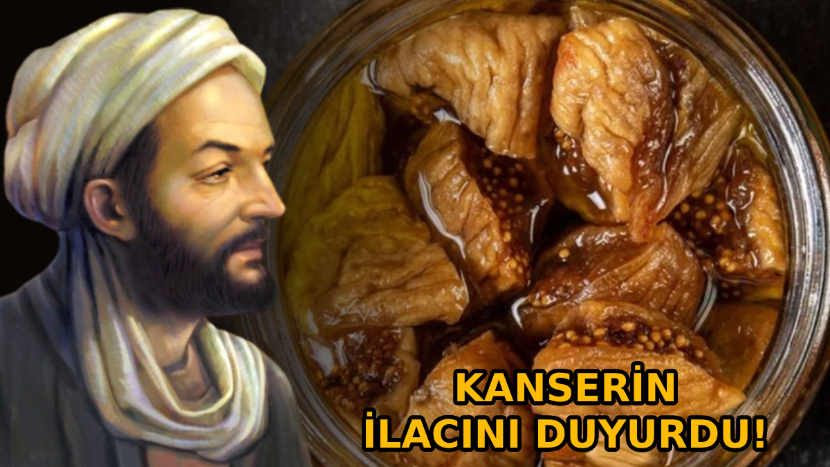 İbn-i Sina sırrı verdi: Kanser tarihe karışıyor! Sabah akşam tüketin, kanser hücrelerine veda edin