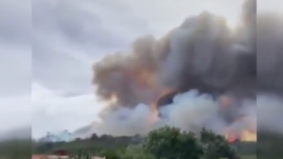 İspanya'da orman yangını nedeniyle 3 bin kişi tahliye edildi