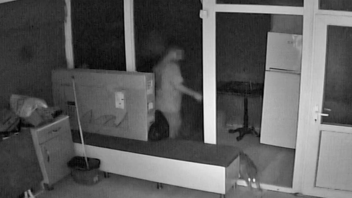 Antalya'da kuaför çırağı kediyi tekme tokat dövdü! O anlar kamerada