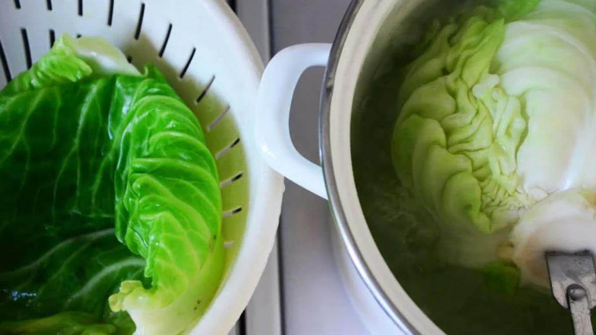 Sıcak lahana yapraklarının mucize etkisi! Dizlerinize sarıp 1 saat bekletirseniz..