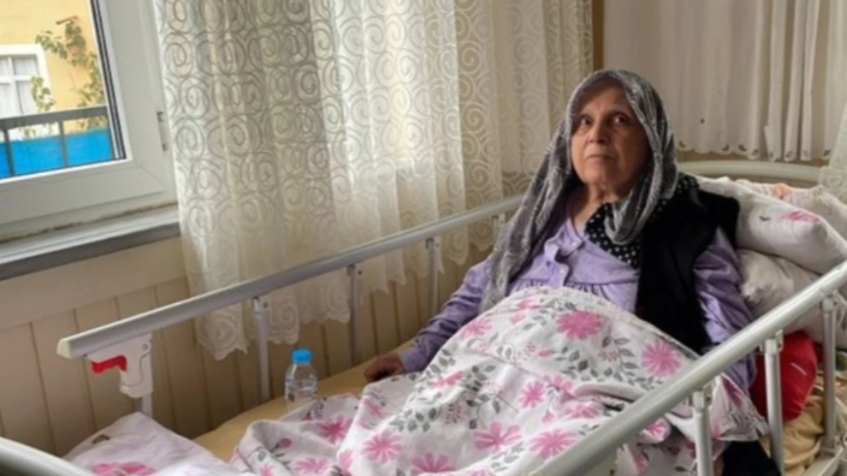 İstanbul'da Pitbull yaşlı kadına saldırdı! 3 sanığın hapsi istendi