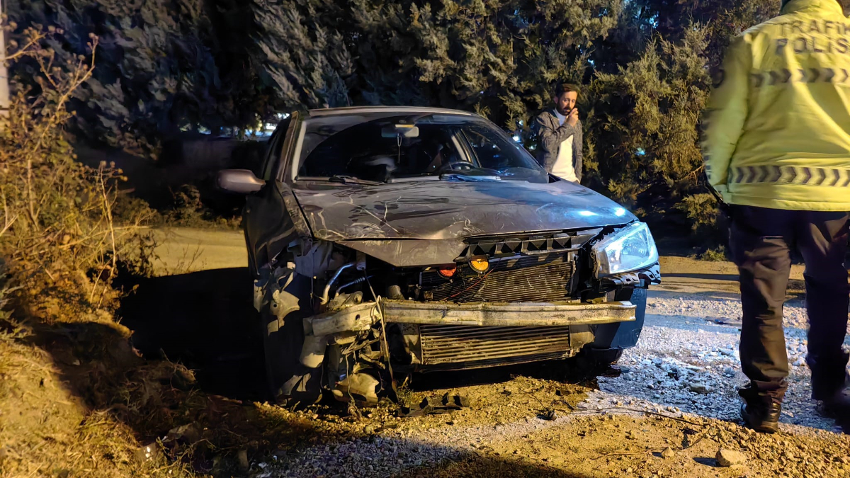 Bursa'da otomobil ağaca çarpıp devrildi