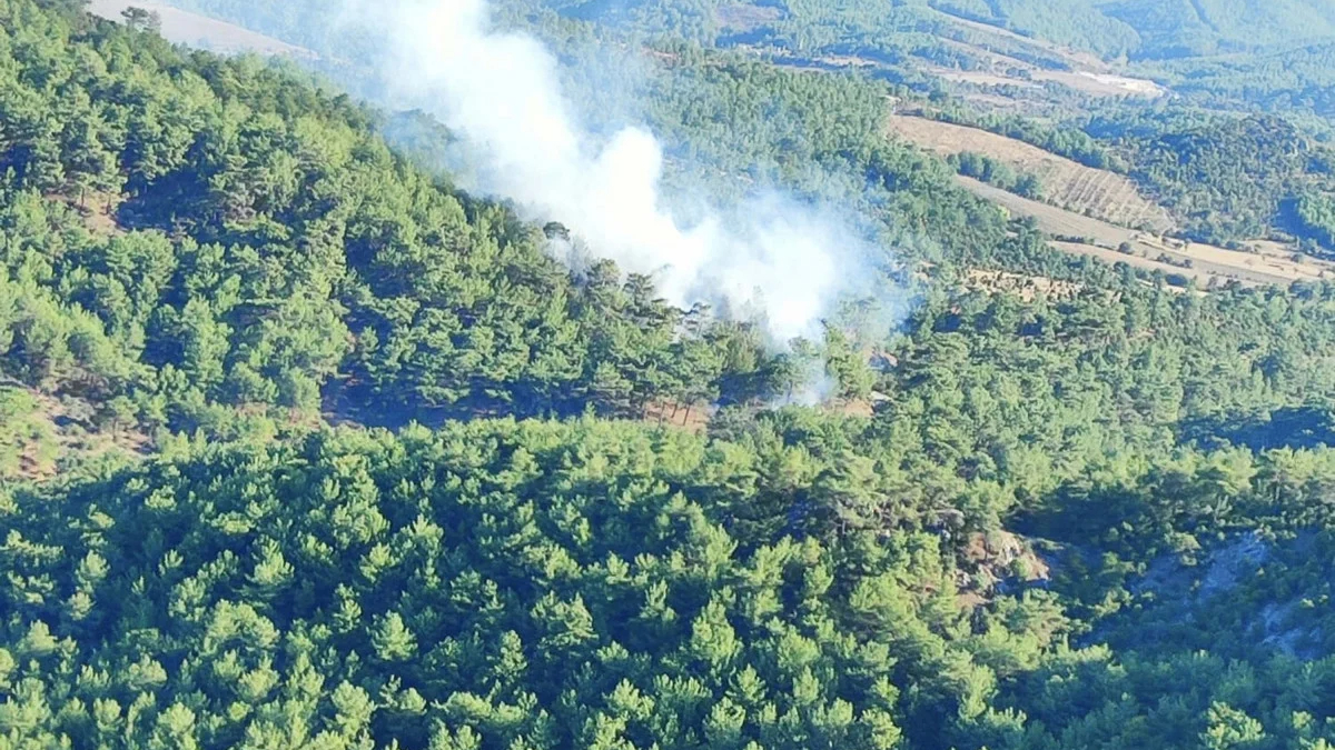 Çanakkale'de orman yangını! Ekipler havadan ve karadan müdahale ediyor