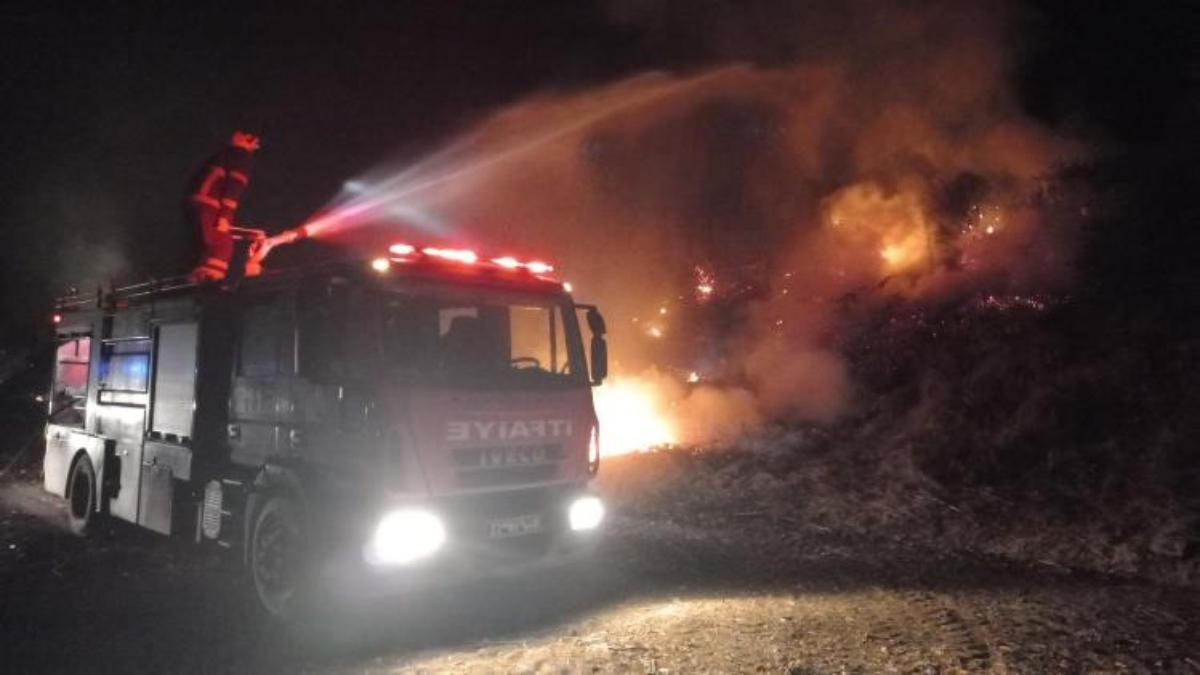 Edirne'de yangın demiryoluna sıçradı: Uluslararası lojistik tren seferi durdu