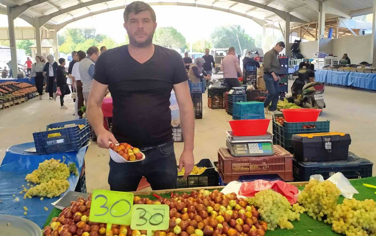 Kütahya Hisarcık’ta fiyatı düşen hünnap rağbet gördü