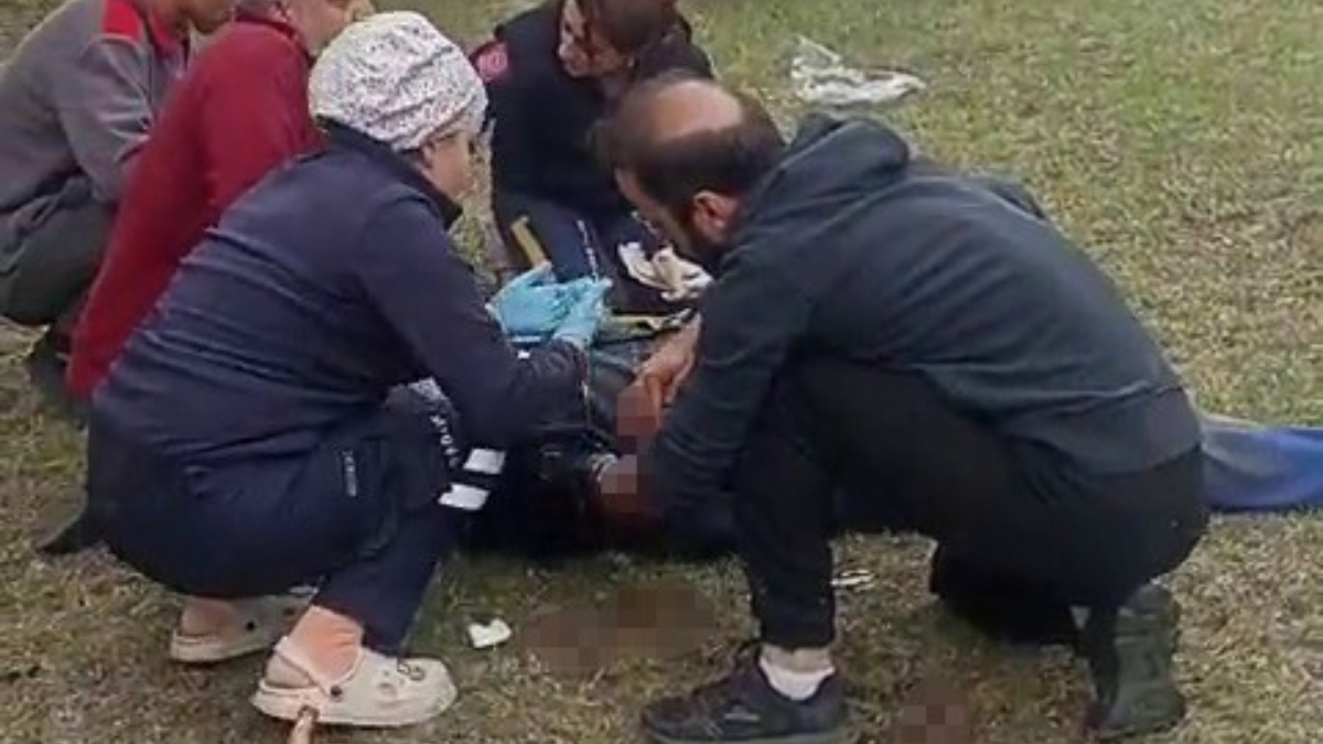 Artvin'de ayının saldırdığı yaşlı adamı komşuları kurtardı