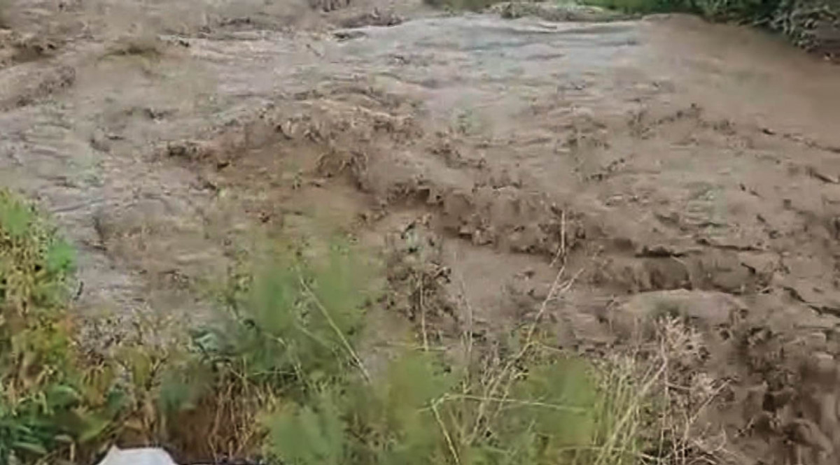 Hatay'da şiddetli yağış! Bahçeler zarar gördü...