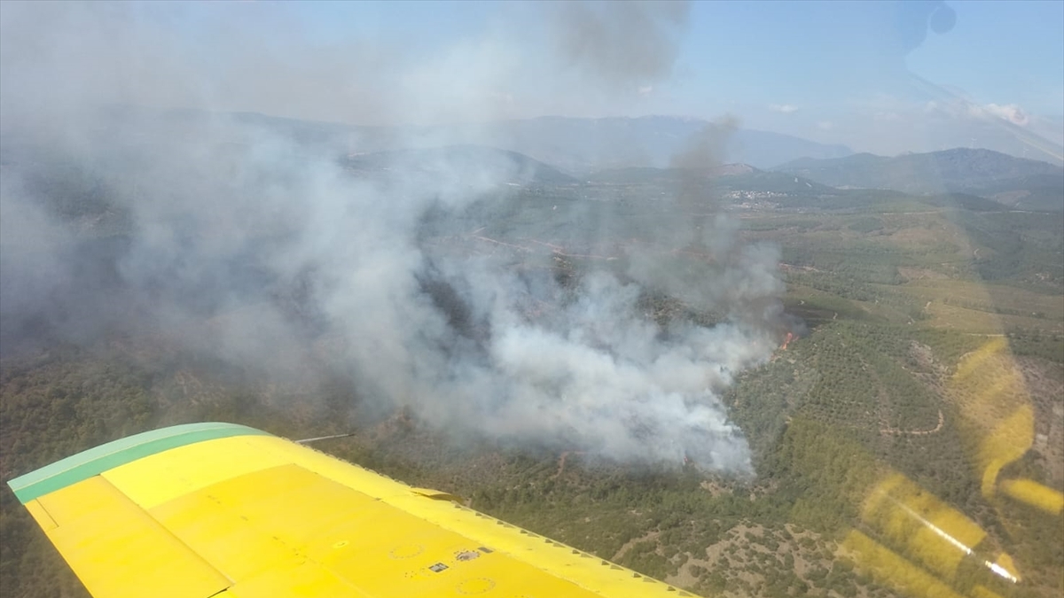 İzmir'de orman yangını: Havadan ve karadan müdahale ediliyor