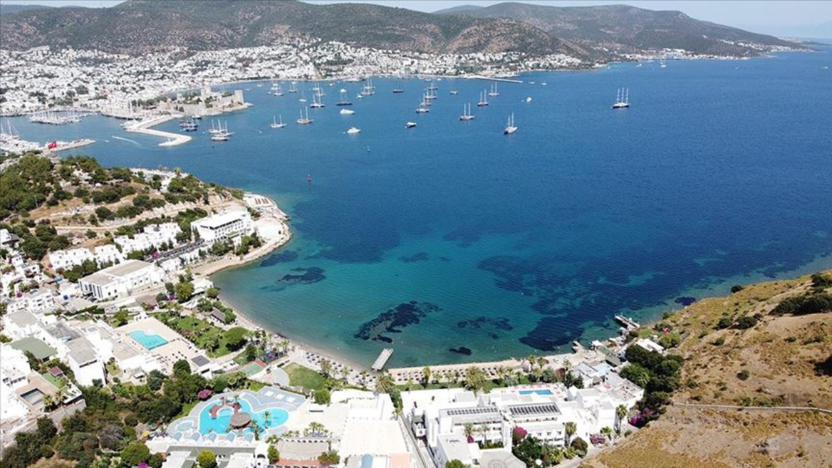 Bodrum'da felaket başladı! Tüm Türkiye'ye yayılacak..."Böyle giderse kurtuluş yok"