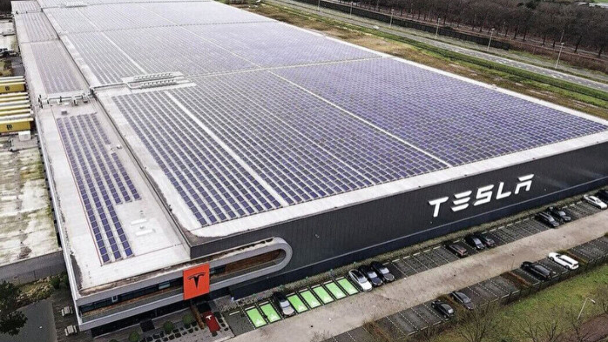 O ildekiler komşuyuz diye hava atacak! Elon Musk arsa bakıyor