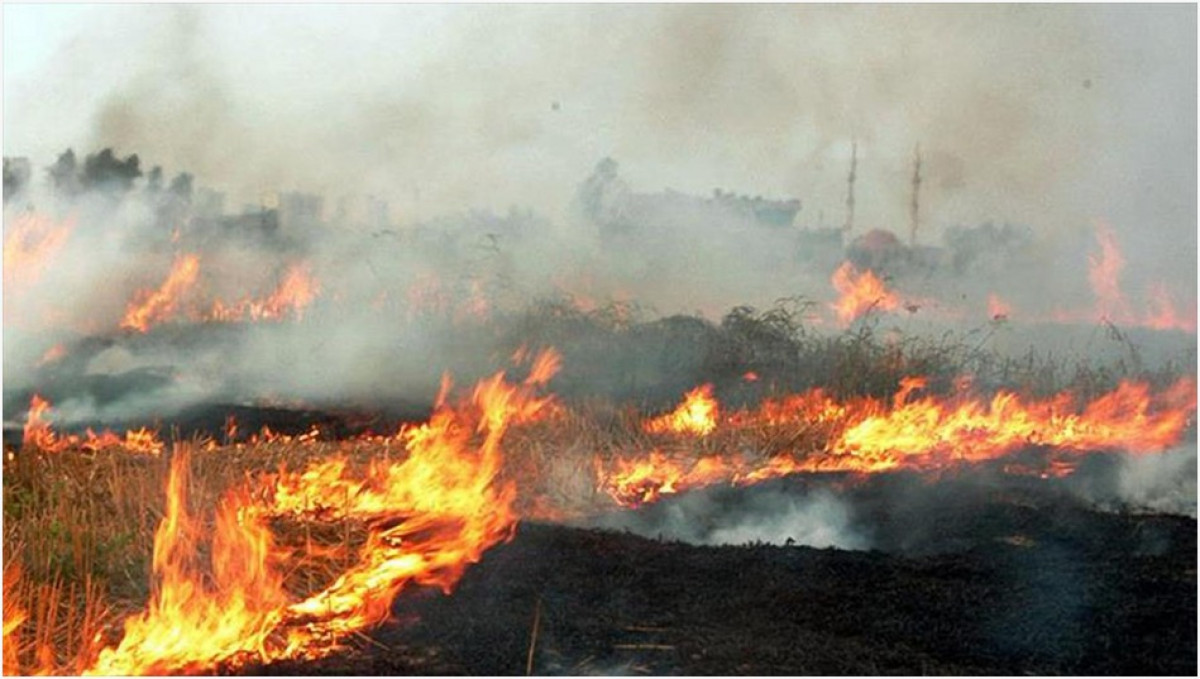 Batman’da anız yakan 30 kişiye ceza yağdı
