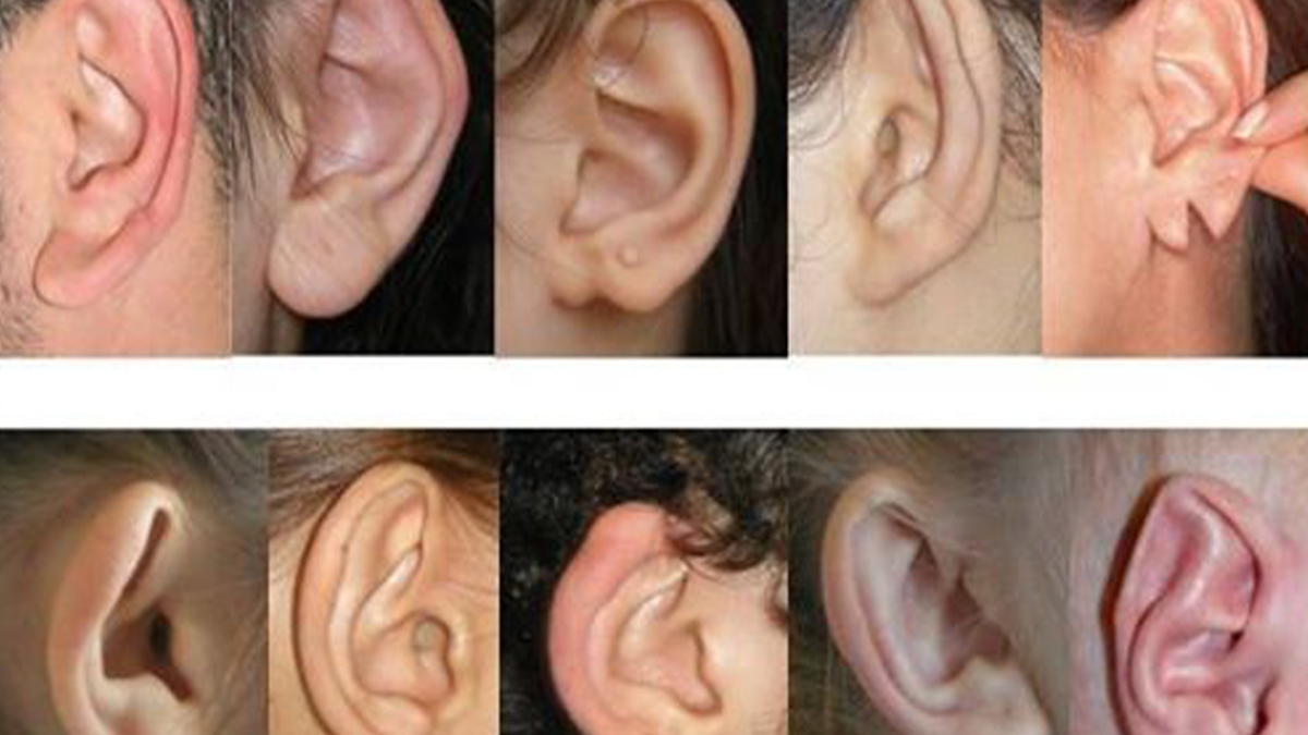 Kulaklarınız sırlarınızı ele veriyor! İşte gerçek kişiliğiniz...