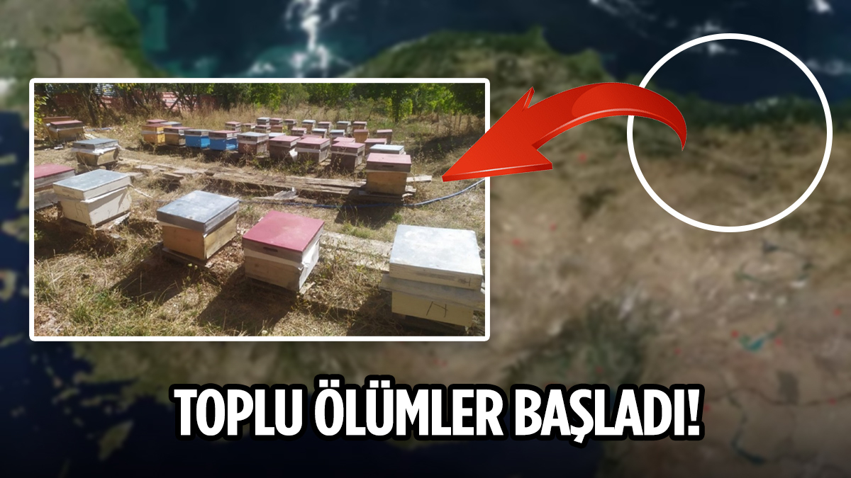 O il için kırmızı alarm: Bulaşıcı hastalık başladı, sonu ölüm...