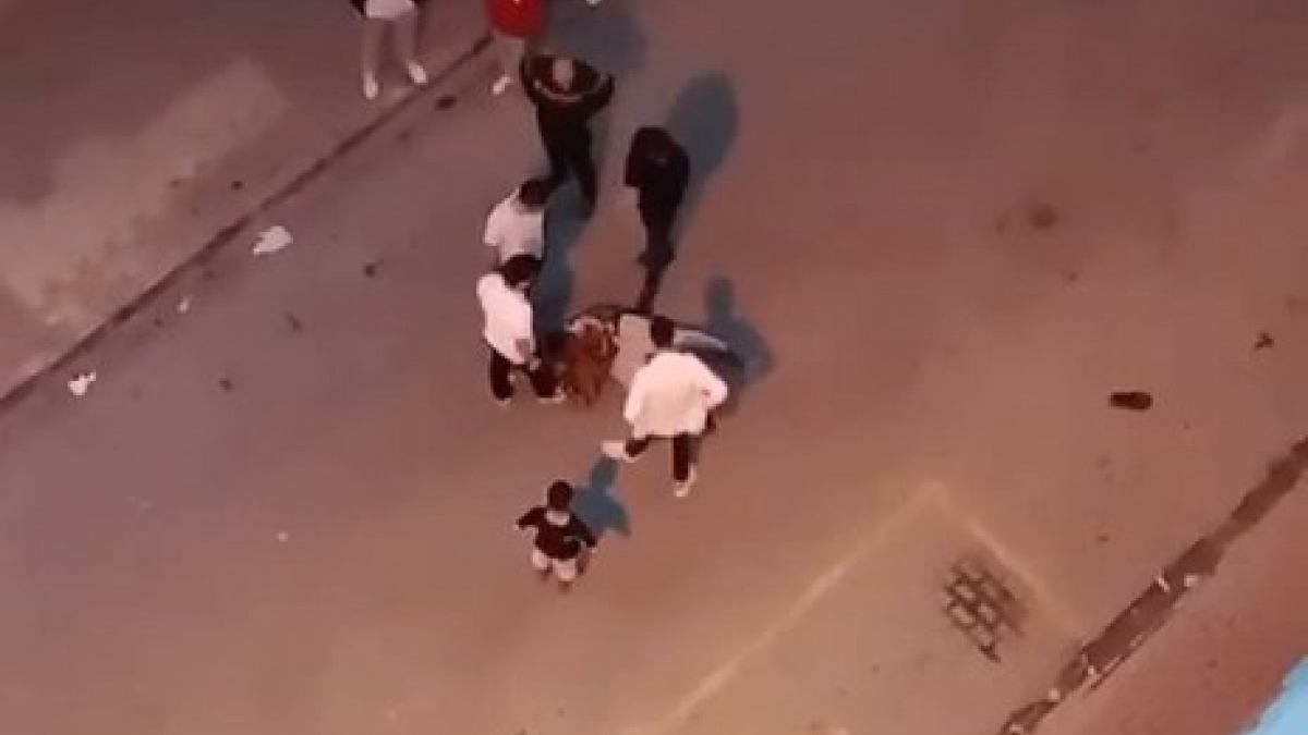 İstanbul'da kaçak göçmen denetimi: Polisi görünce kaçtı