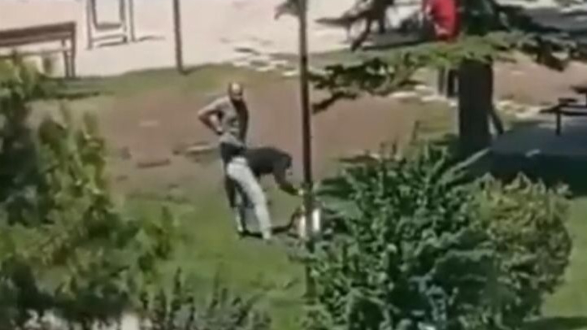 Eskişehir'de parkta cinayet davası! Hüseyin Ağabey'i öldürmek istemedik
