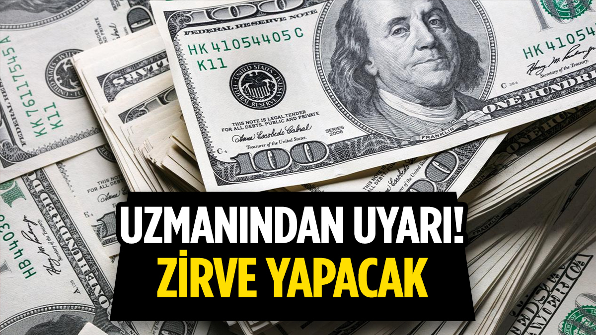 Ünlü ekonomist duyurdu: Dolar o tarihte zirve yapacak!