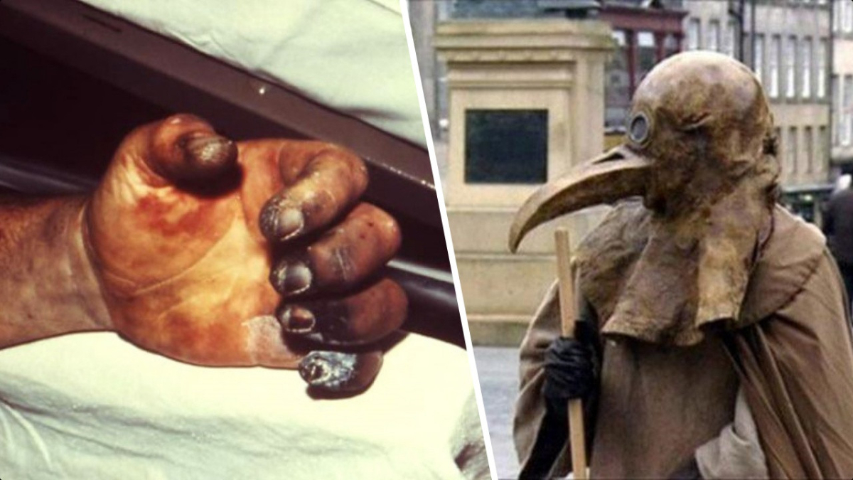 Abur cuburları seviyor musunuz? Bilim insanları nedeni 'Kara Veba' diyor