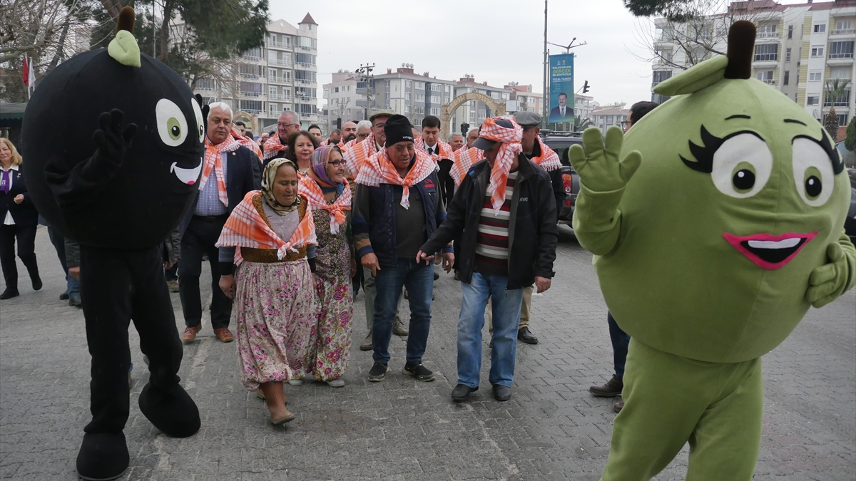 Balıkesir'de zeytin toplama işçileri hasadın bitimini kutladı