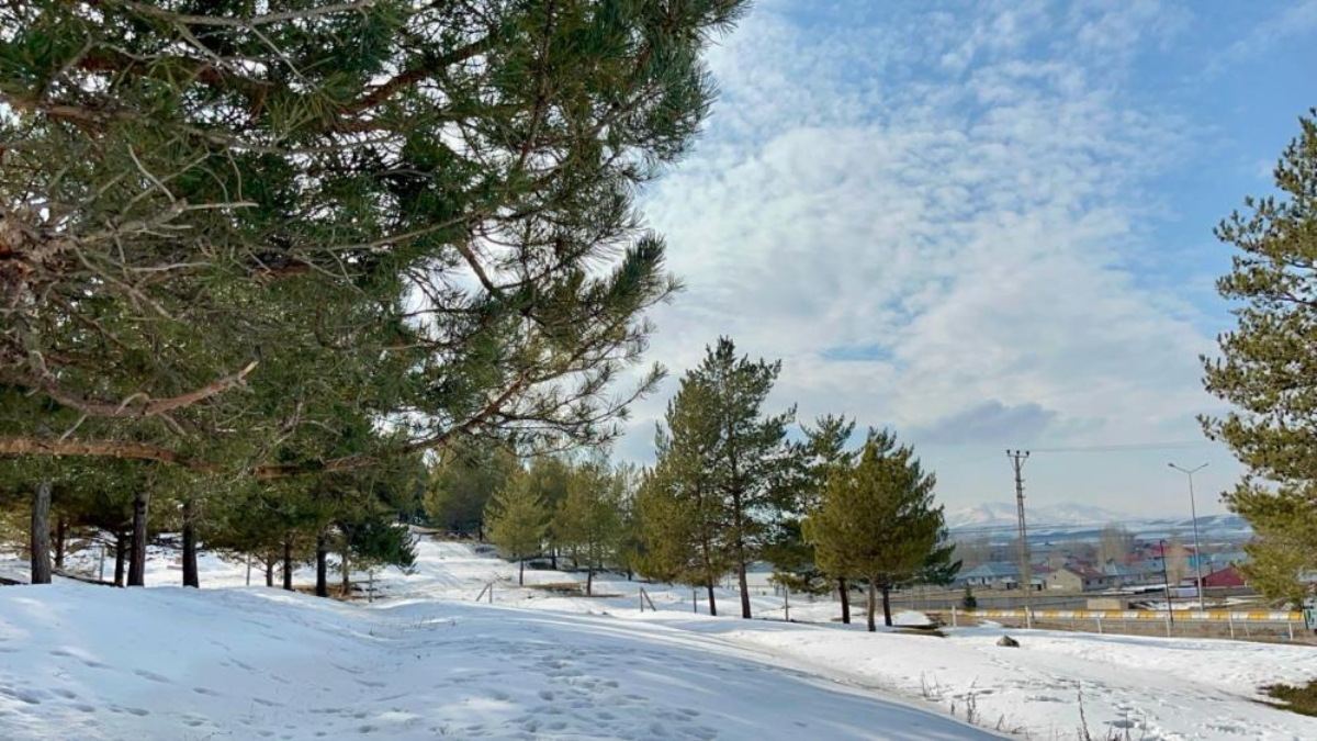 Ağrı'da kartpostallık kar manzaraları