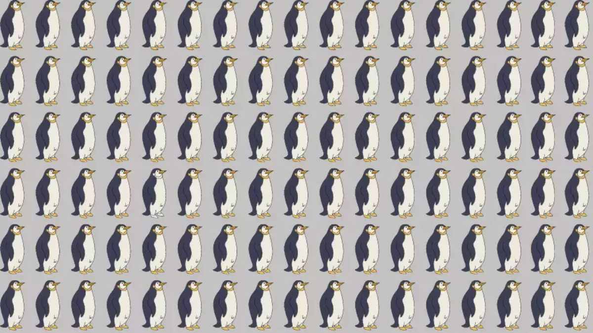 Optik meydan okuma: Resimdeki farklı pengueni sadece dahiler 11 saniyede bulabilir