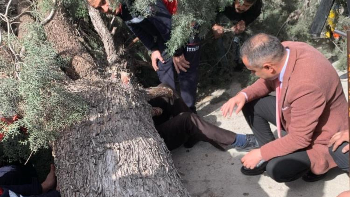Burdur'da belediye başkan adayı ve oğlunun üzerine ağaç devrildi