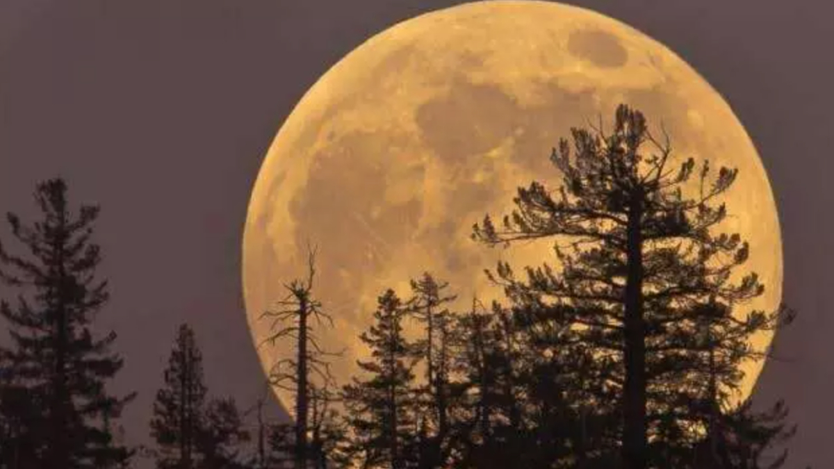 Eyyam-ı biyd (aydınlık günler) orucu ne zaman tutulur ve önemi nedir?