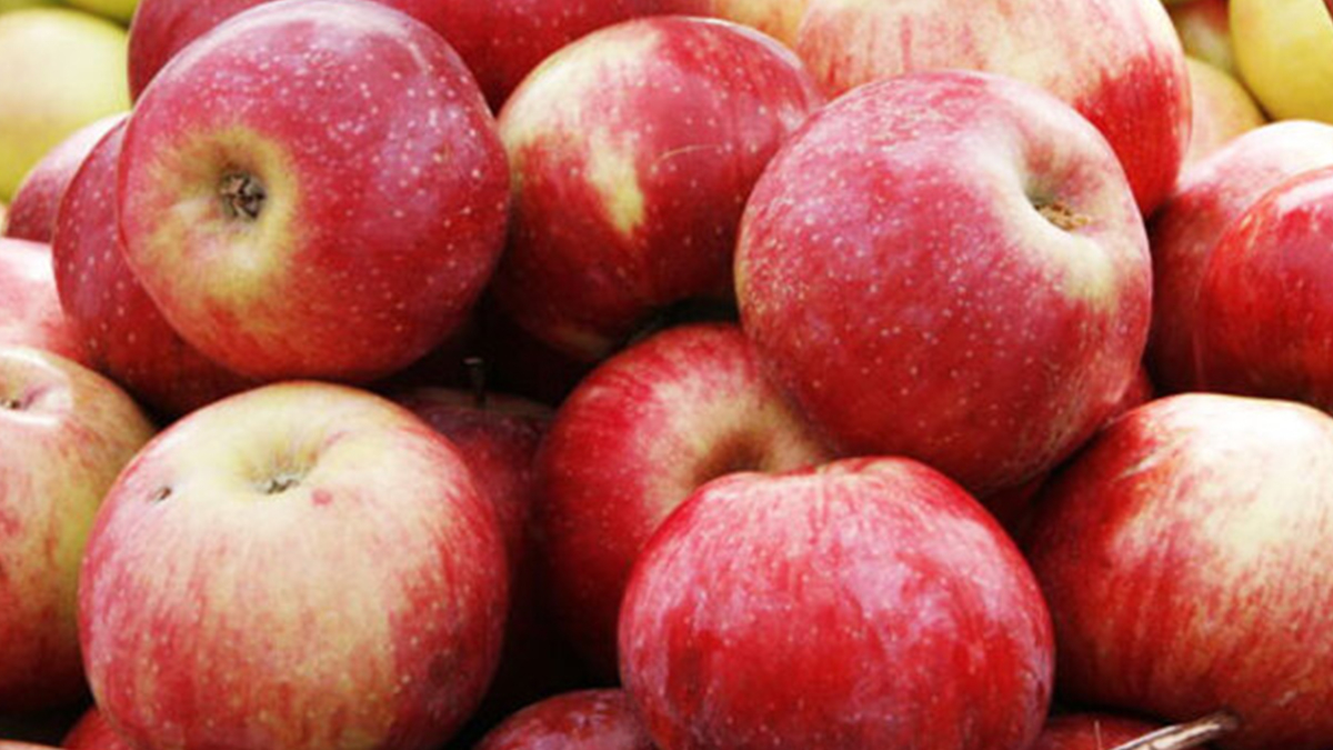 Her sabah aç karnına 1 tane elma tüketin, bakın ne oluyor