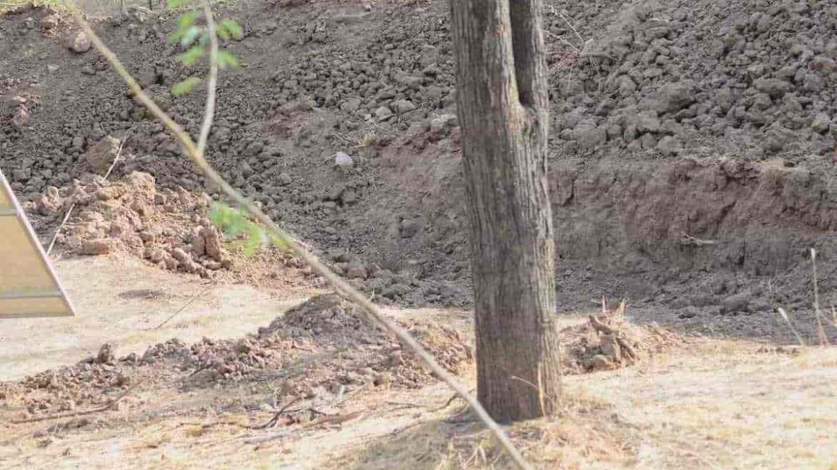 Kamuflaja dikkat: Köydeki leoparı fark edebilen avcı gözlü sayılıyor...